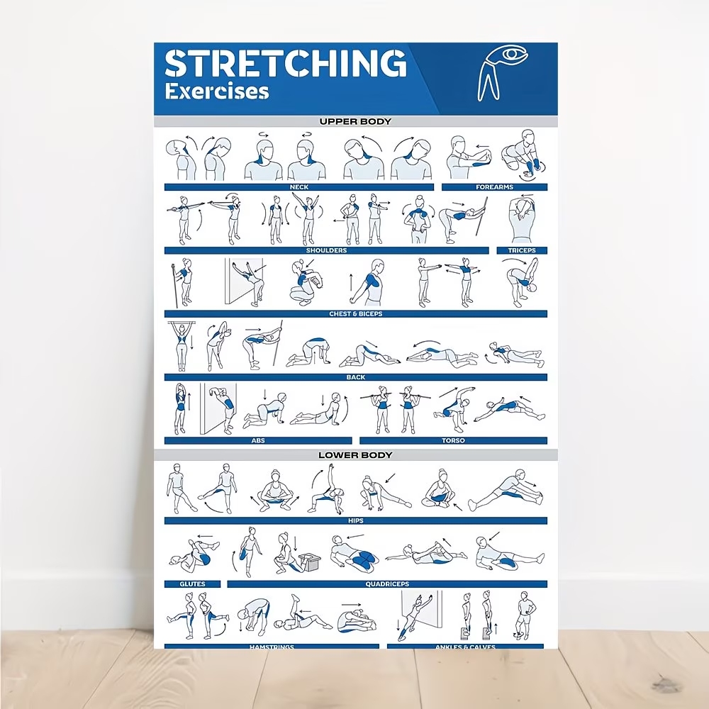 Home Gym Room - Moderne gelabelde full-body stretchs voor sportschool
