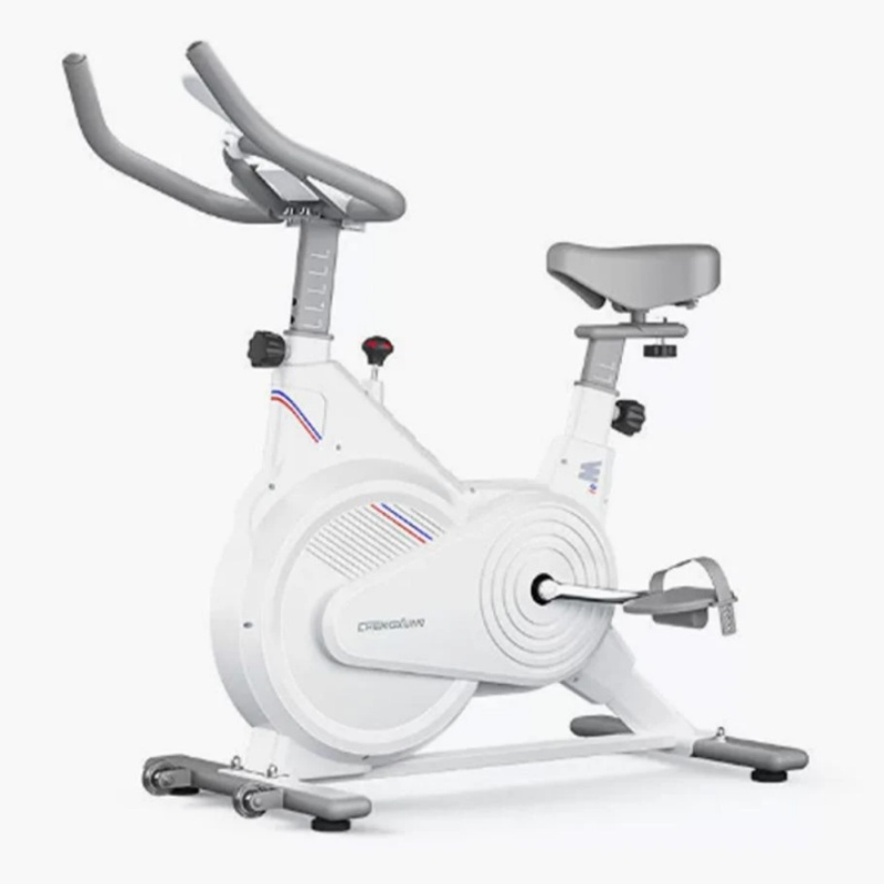Home Gym Rig - Indoor hometrainer, stille magnetische weerstandstrainer met
