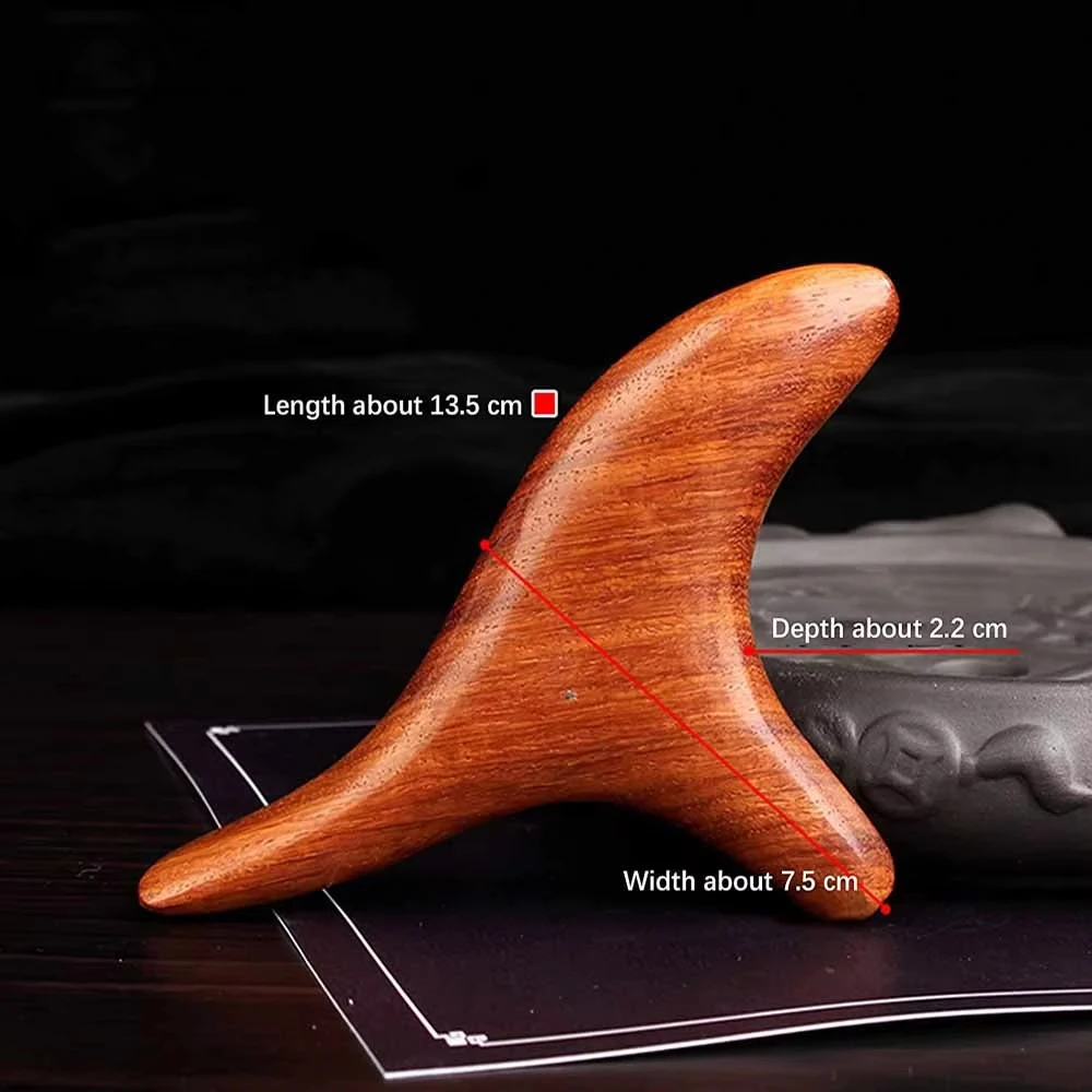 1 Professionele Trigger Point  - Home Gym Manual recensie en prijs